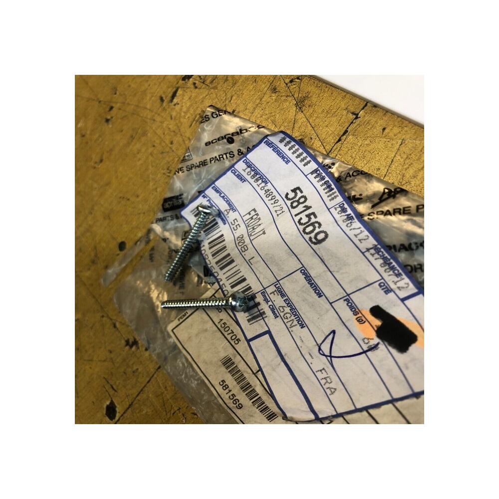 2 x vis cabochon clignotant piaggio 581569 zip 50 125 100
