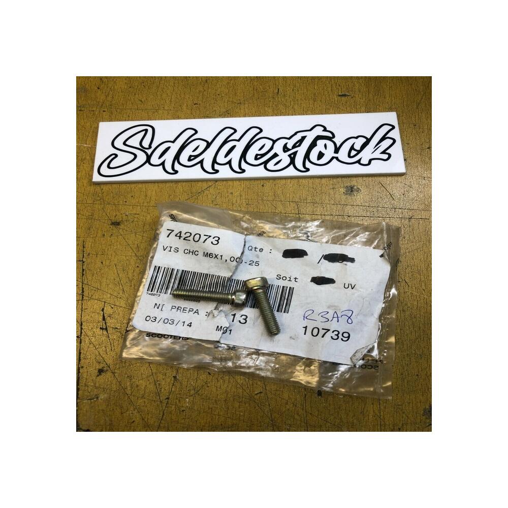 2 x vis M6X1,00-25 peugeot xps xr6 elyseo elystar jet force ludix vivacity xrace