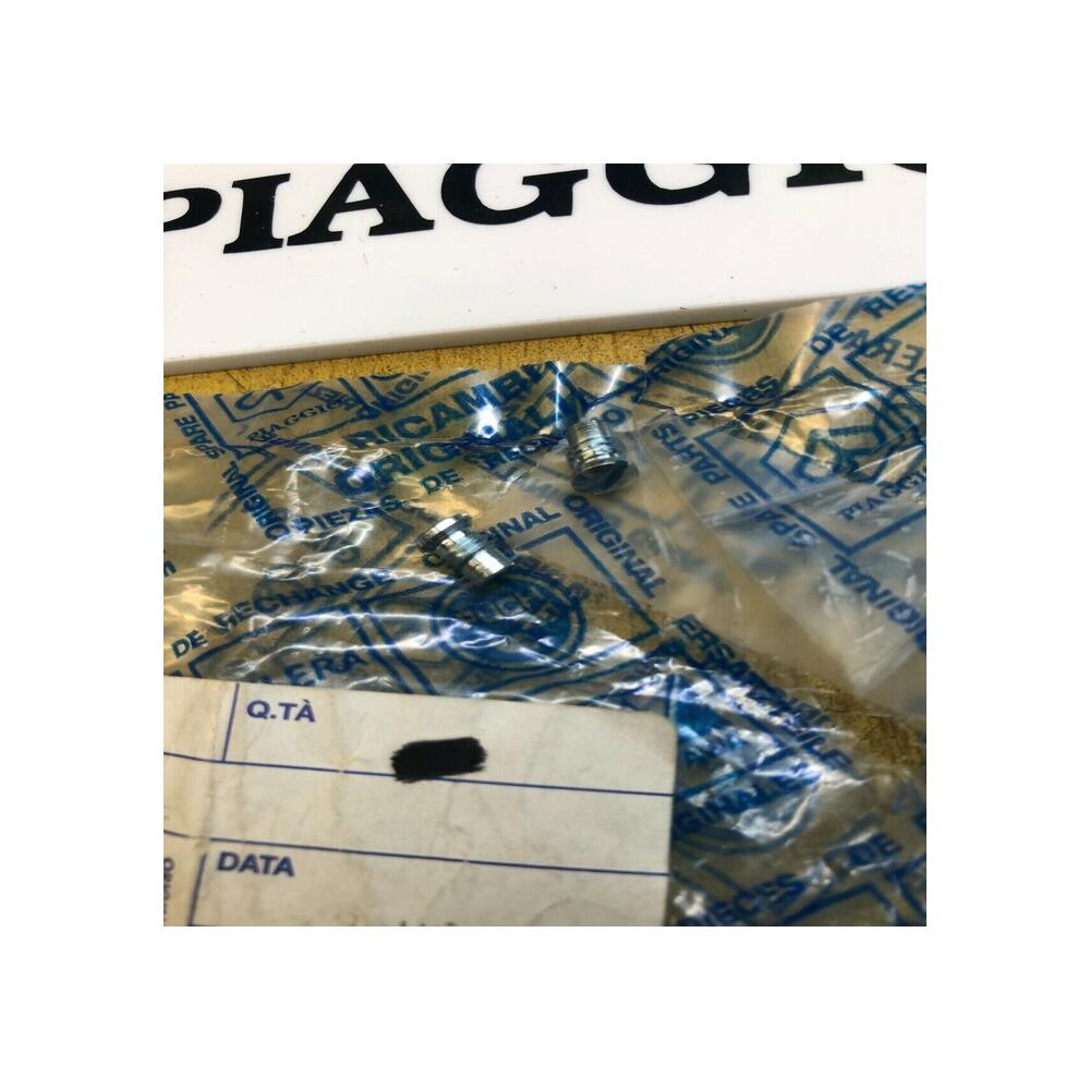 2x vis guidon piaggio gilera 123389 ciao free ntt nrg typhoon zip storm velofax
