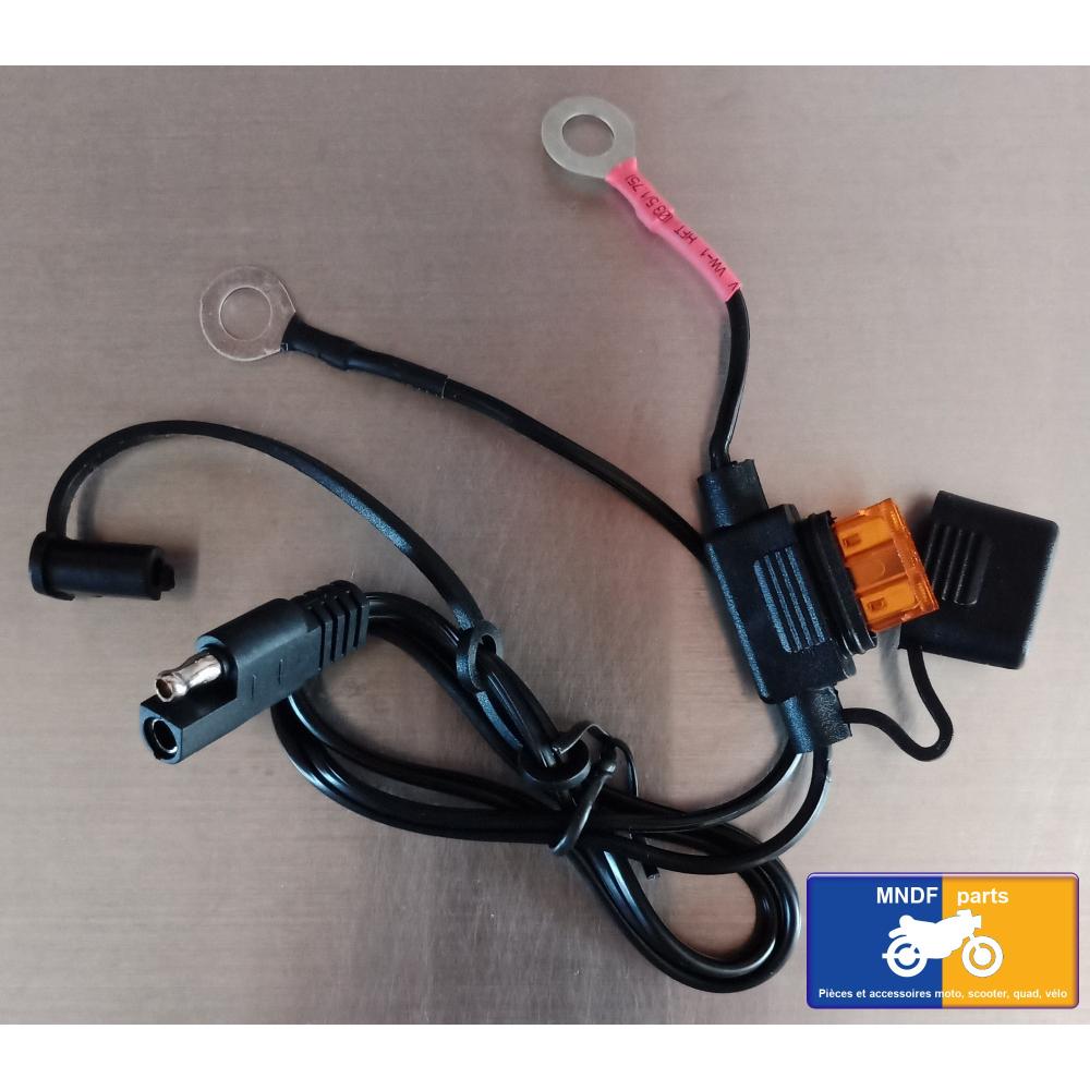 Câble à oeillets avec fusible pour chargeur de batterie