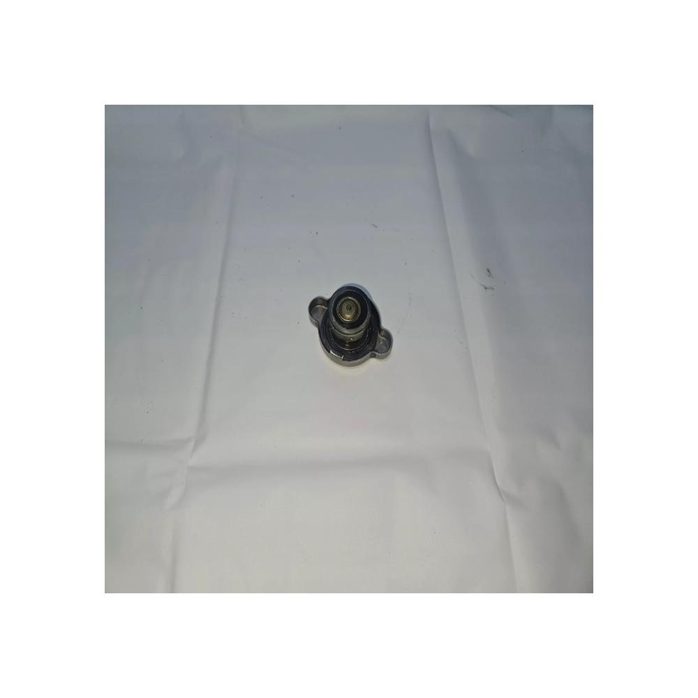 BOUCHON RADIATEUR APRILIA SCARABEO 125 2011 IE LIGHT