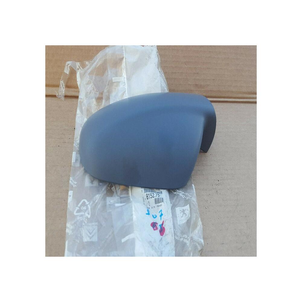 COQUILLE COQUE DE RETROVISEUR GAUCHE CONDUCTEUR 307 PSA 815275