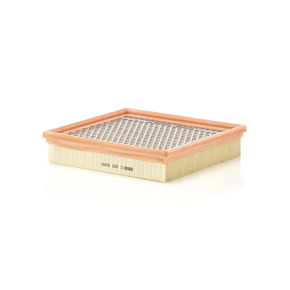 Filtre à air MANN-FILTER C22029