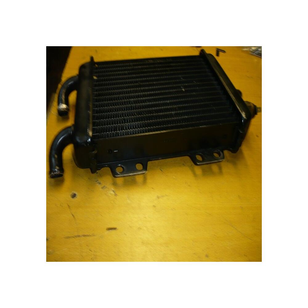 radiateur origine Scooter Peugeot 50 125 Elyseo  45293
