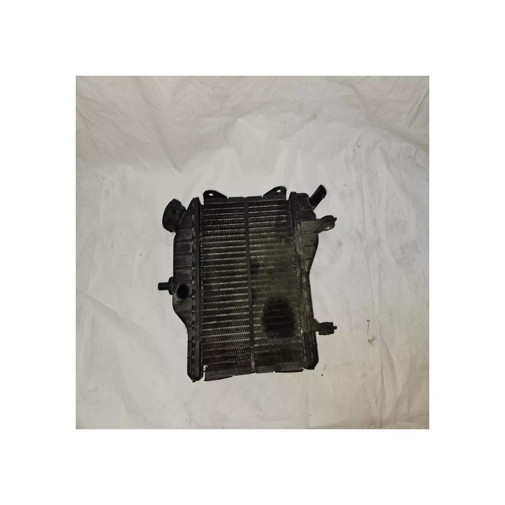 RADIATEUR YAMAHA TZR 50 2T 2016 (08-16)