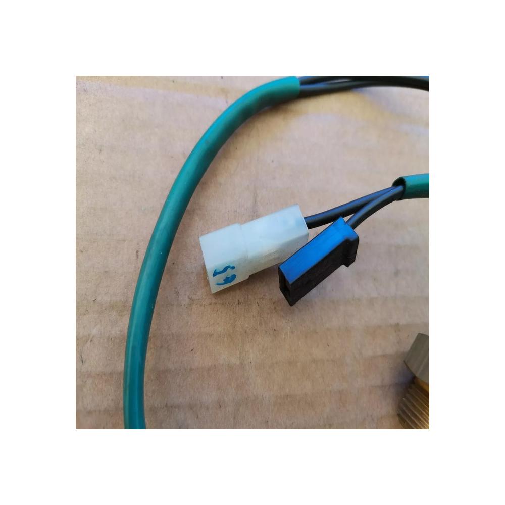 SONDE DE RADIATEUR FIAT  LANCIA 2 fils modele a identifier