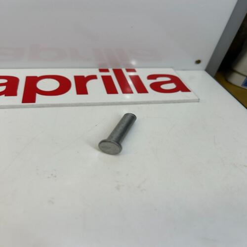 1 axe repose pied moto guzzi aprilia ap8134829 bellagio stelvio pegaso rs rsv v7