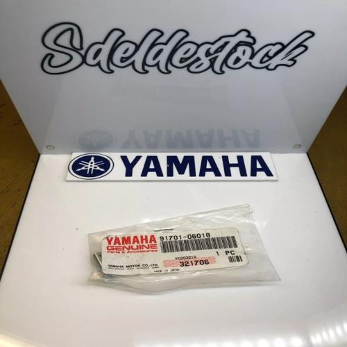 1 goupille pédale frein yamaha 91701-06018 90240-06805 91702-06018 fjr mt yfm xv