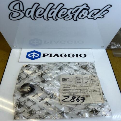1 joint spi pompe eau aprilia piaggio gilera 873934 1A018564 AP8176359 844439