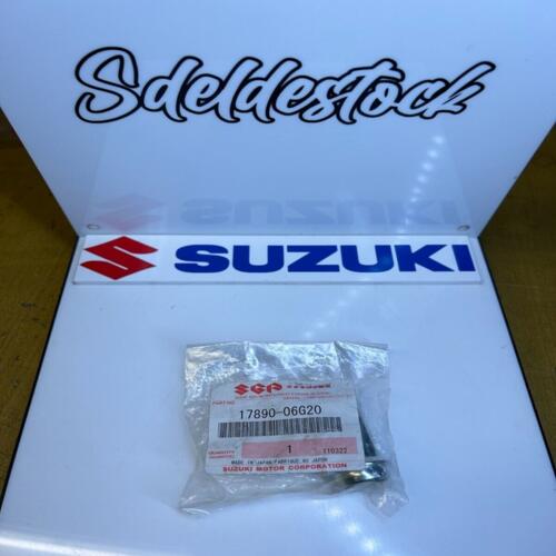 1 raccord refroidissement suzuki 17890-06g20 17890-02F00 17890-06G00 dl sv vzr