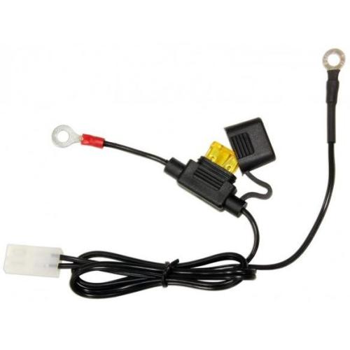 Cable chargeur batterie pour ACCUGARD-900 avec fusible