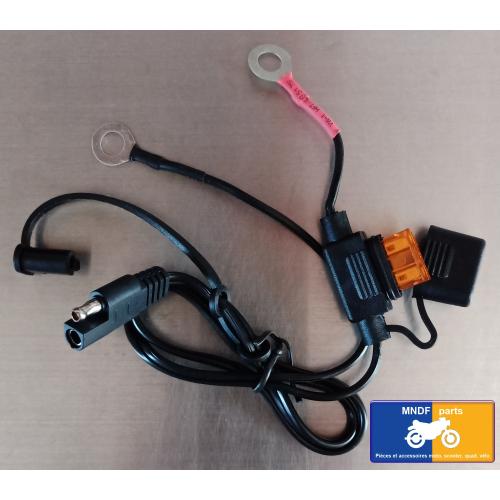 Câble à oeillets avec fusible pour chargeur de batterie