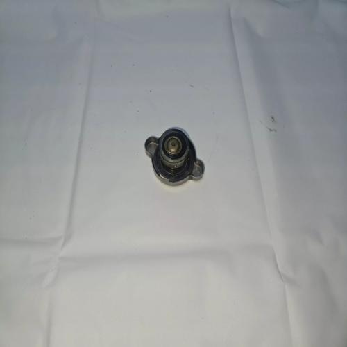 BOUCHON RADIATEUR APRILIA SCARABEO 125 2011 IE LIGHT