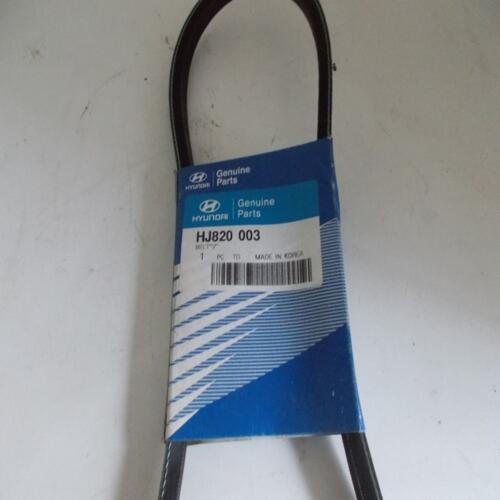 Courroie trapézoïdale HYUNDAI galloper H100 2.5 TD AV13La925 hj820003