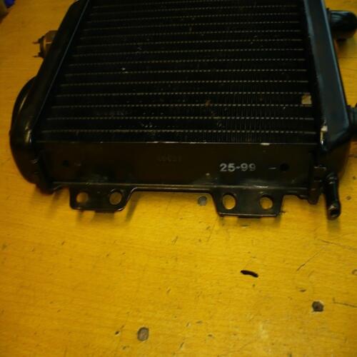 radiateur origine Scooter Peugeot 50 125 Elyseo  45293