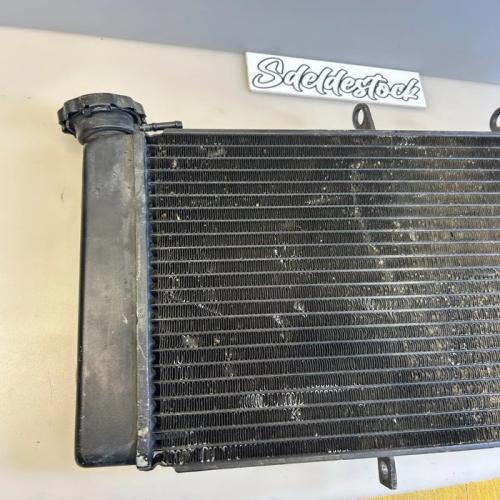 radiateur refroidissement origine TRIUMPH T2100775 tiger 800 xr xc xrx xcx xrt