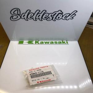 1 ampoule compteur 12V 1.7W, T10 kawasaki 92069-1116 er-5 KLX 150 L klr 650 usa