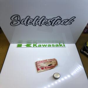 1 galet roue libre démarreur  kawasaki 92122-001 z1 z 1100 gpz 1000 rx zx 1100