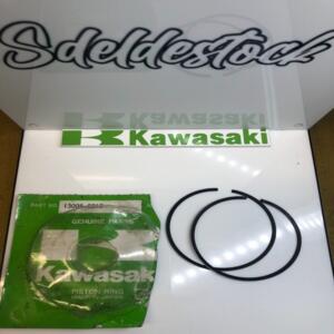 1 jeu segment std origine kawasaki 13008-0013 kx 250 2005 2008 r1 r6f r7f r8f