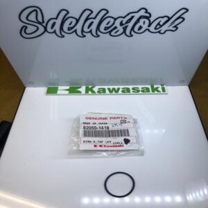 1 joint torique zx1000 b1 kawasaki 92055-1419 klx 110 250 300 kle 500 klr 650 kx