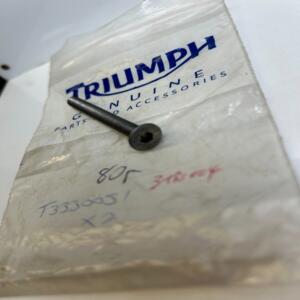 1 vis C Sunk M6 x 60 triumph t3330051 Daytona Trident Trophy