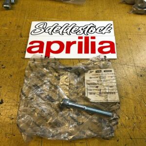 1 vis demi guidon m10x60 aprilia rs 50 1999 2005 ap8150481