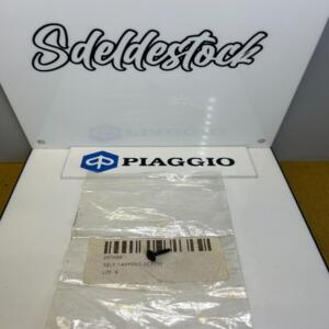 1 vis piaggio aprilia  vespa gilera derbi 297498 AP8550542