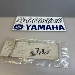 1 vis tête noyée yamaha 90152-05005 150-84125-01 195-84125-00 3L6 84137 00
