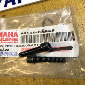 2 x boulon carter yamaha 90110-06825 cs cw ew 50 stunt slider bws booster