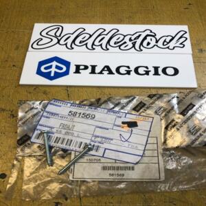 2 x vis cabochon clignotant piaggio 581569 zip 50 125 100