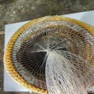 Algaine gaine  isolée 25 mm Ø160mm filet de 6 mètre aldes 11091623