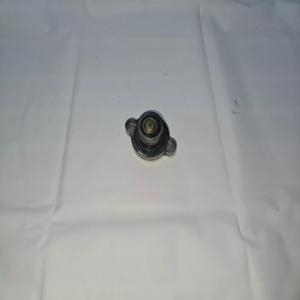 BOUCHON RADIATEUR APRILIA SCARABEO 125 2011 IE LIGHT
