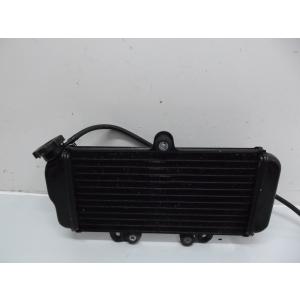 radiateur de refroidissement YAMAHA TDR 125 1993-2003