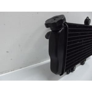 radiateur de refroidissement YAMAHA TDR 125 1993-2003