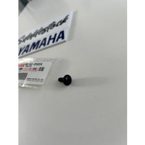 1 vis yamaha 90150-05024 bt fjr fz 1 mt tracer xj x-max t-max xtz yzf-r1