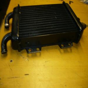 radiateur origine Scooter Peugeot 50 125 Elyseo  45293