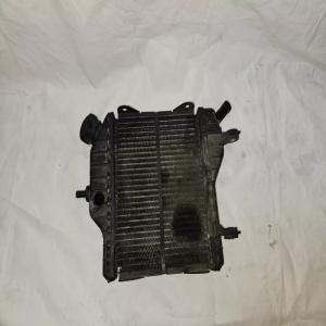 RADIATEUR YAMAHA TZR 50 2T 2016 (08-16)