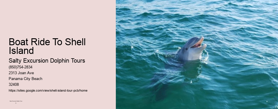 Boat Ride To Shell Island