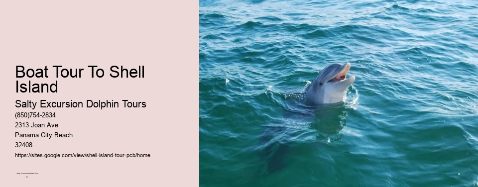 Boat Tour To Shell Island