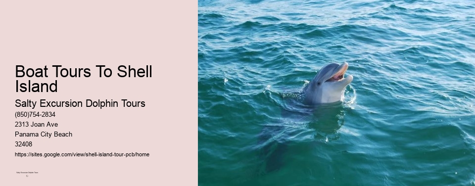 Boat Tours To Shell Island