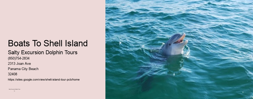 Boats To Shell Island