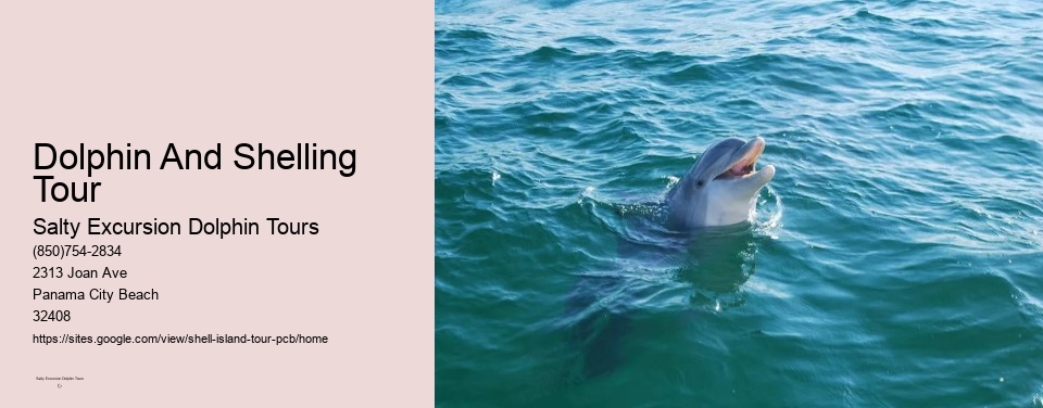 Dolphin And Shelling Tour