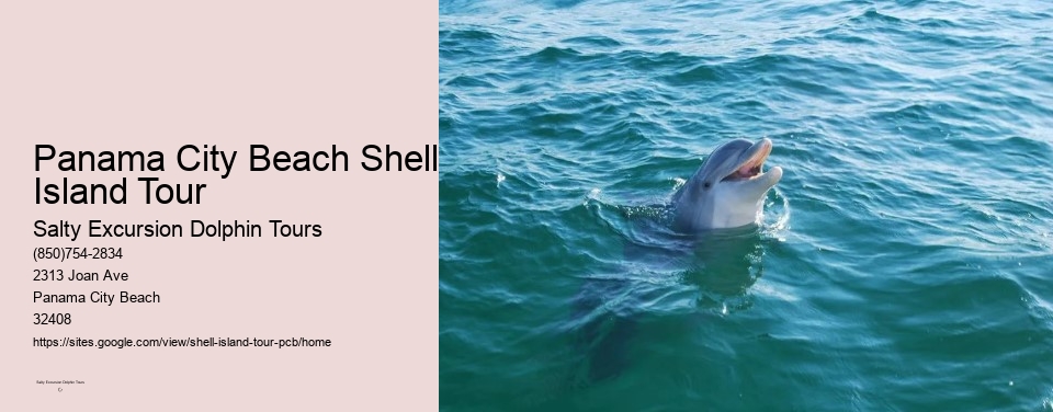 Panama City Beach Shell Island Tour