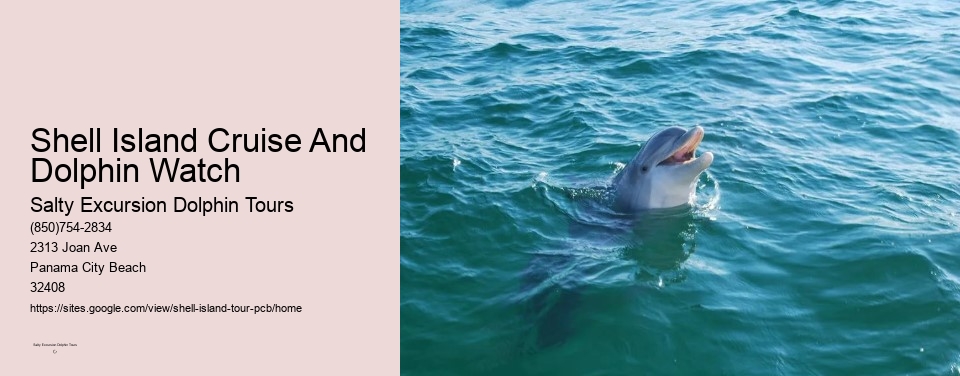 Shell Island Cruise And Dolphin Watch