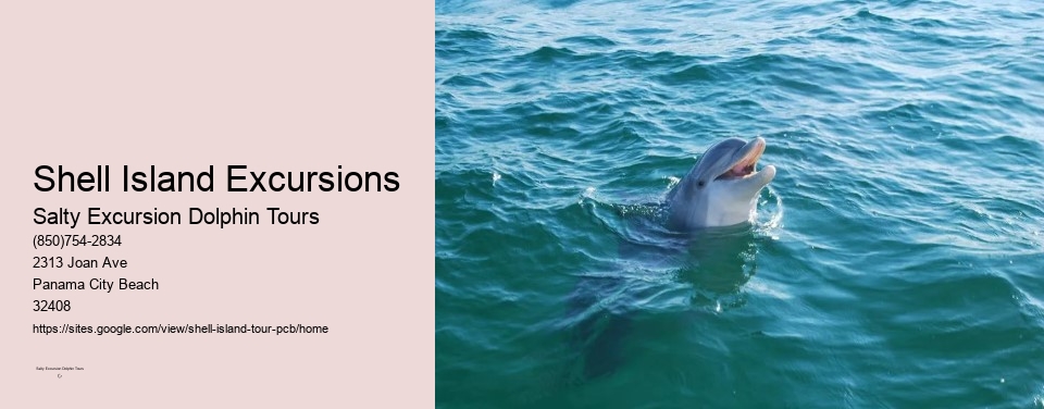 Shell Island Excursions