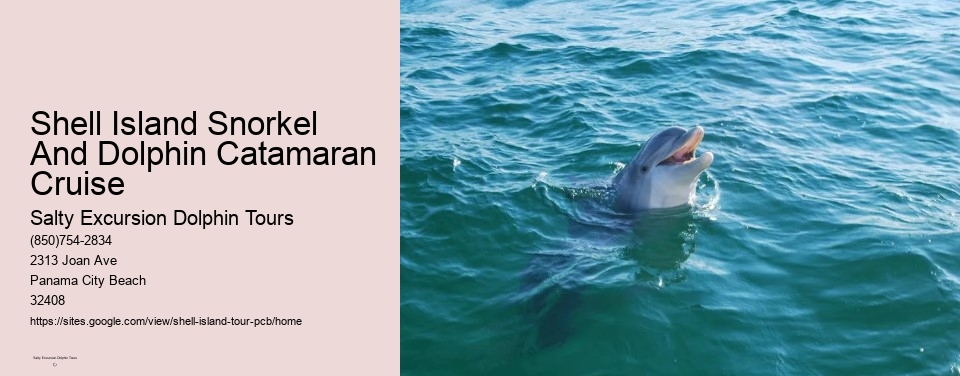 Shell Island Snorkel And Dolphin Catamaran Cruise