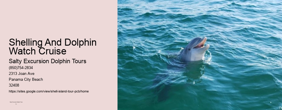 Shelling And Dolphin Watch Cruise