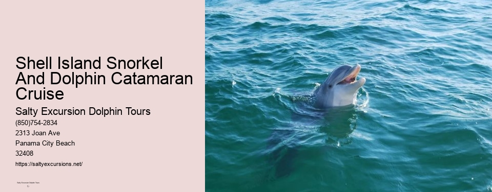 Shell Island Snorkel And Dolphin Catamaran Cruise