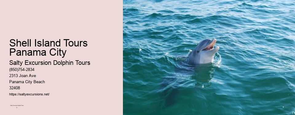 Shell Island Tours Panama City