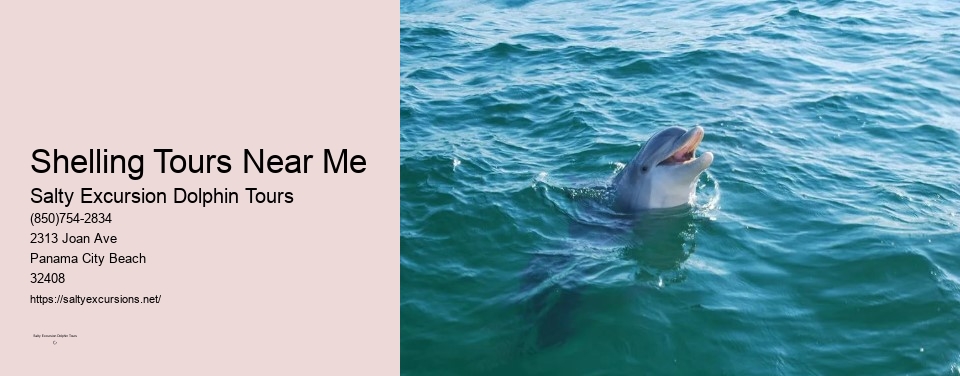 Shelling Tours Near Me